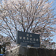 Img_85051