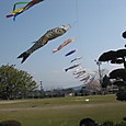 Img_85221