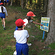 Img_86291