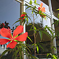 Img_8898