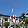 Cimg6151