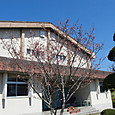 Cimg6191