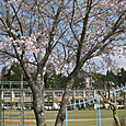 Img_9737