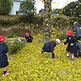 Img_1280
