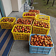 Cimg0288