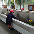 Img_27042020_222623_2000_x_1125__2