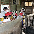 Img_1256