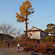 Img_08122020_074845_2000_x_1125_