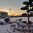 Img_12012021_073538_2000_x_1125_
