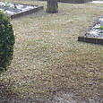 Img_11112021_090729_3000_x_1688_