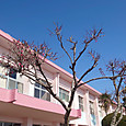 Img_27012022_140016_3000_x_1688_